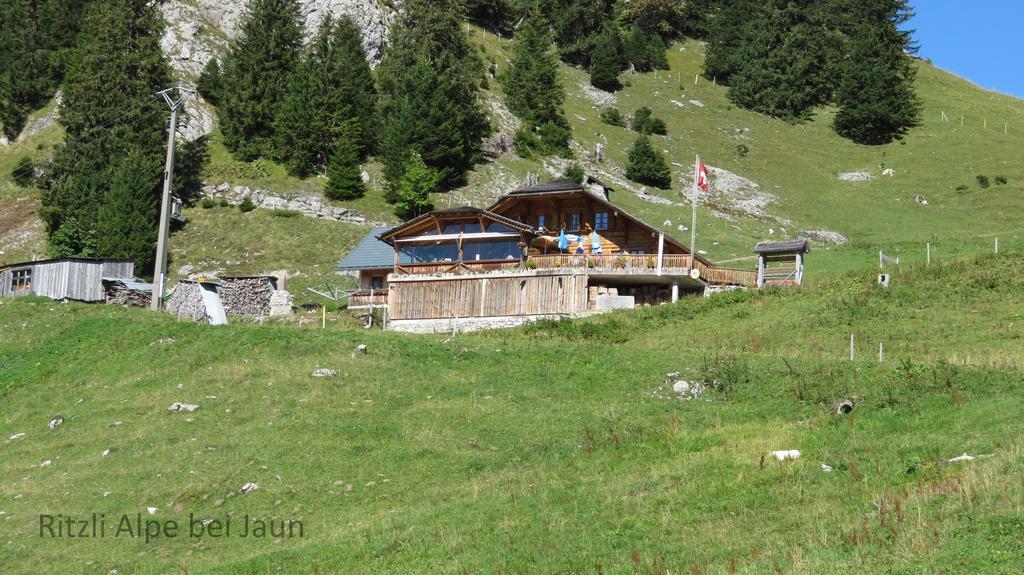 شقة Jaun  في Chalet Erica المظهر الخارجي الصورة